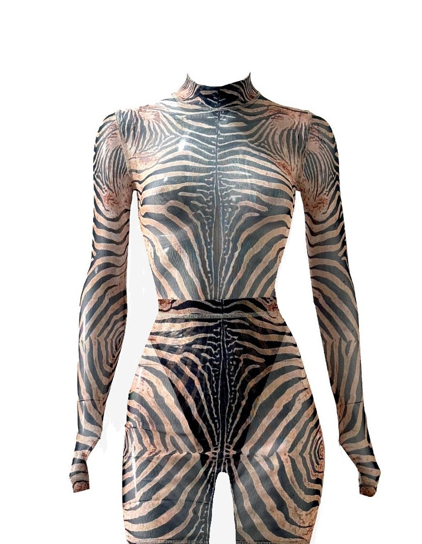 Ani Bodysuit & Corset