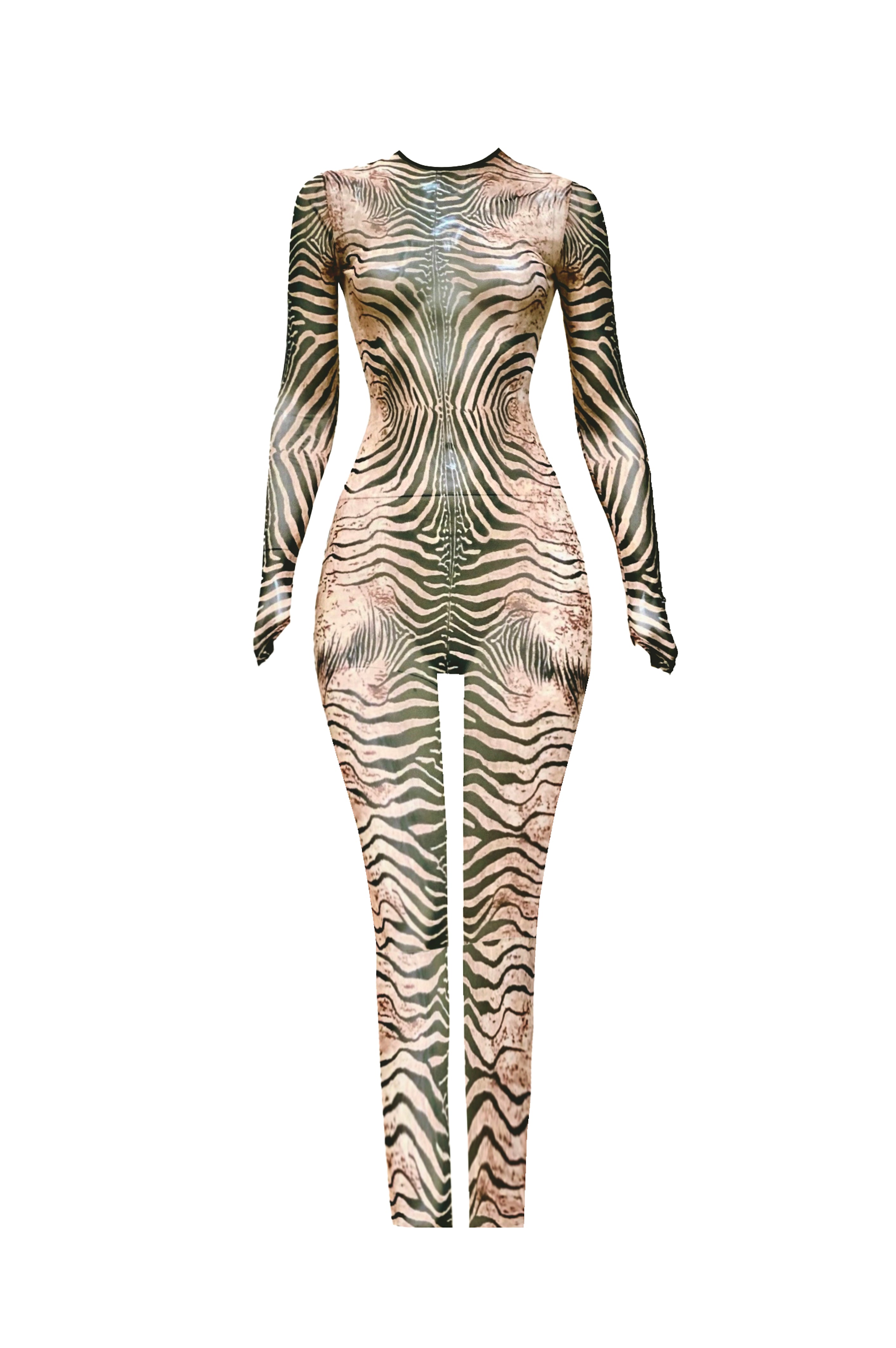 Ani Catsuit & Corset